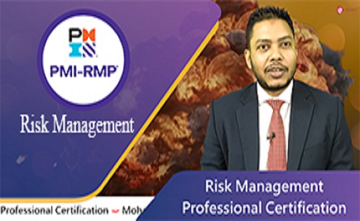 Risk Management Professional